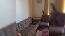 بالفيديو/ تعرض عدد من الشقق السكنية في منطقة بقاعصفرين قضاء الضنية للسرقة والتخريب والتكسير 