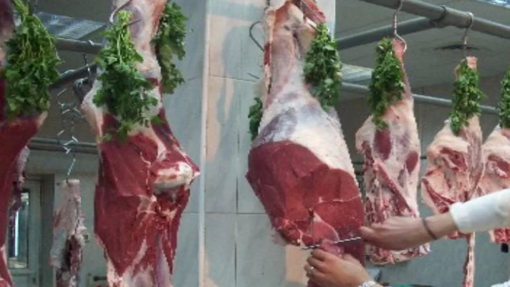 ملحمة في صيدا تبيع لحومًا هندية مثلجة غير معلن عنها... وتسطير محضر ضبط بحقها