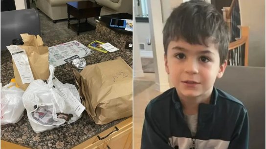 طفل يطلب طعامًا بـ1000 دولار بينما كان يلهو بهاتف والده في ميشيغان!