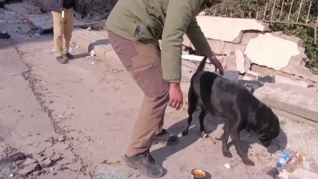 كلبة تنتظر صاحبتها المحاصرة تحت الأنقاض بعد زلزال تركيا ولا تتجاوب مع محاولات إبعادها