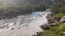 بالفيديو/ جريمة بيئية.. رغوة بيضاء تغطي مياه نهر حومين الفوقا ليتبين أن أحدهم يسلط مياه مزرعته الملوثة في مجرى النهر