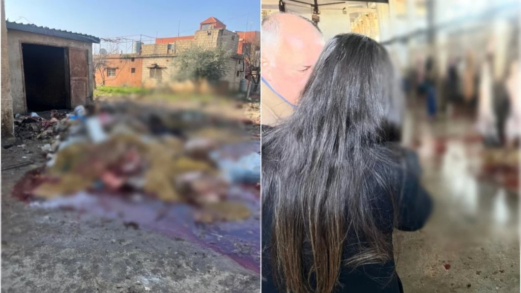 إهمال في مسلخ بعلبك&hellip; ومحافظ بعلبك الهرمل يتحرك