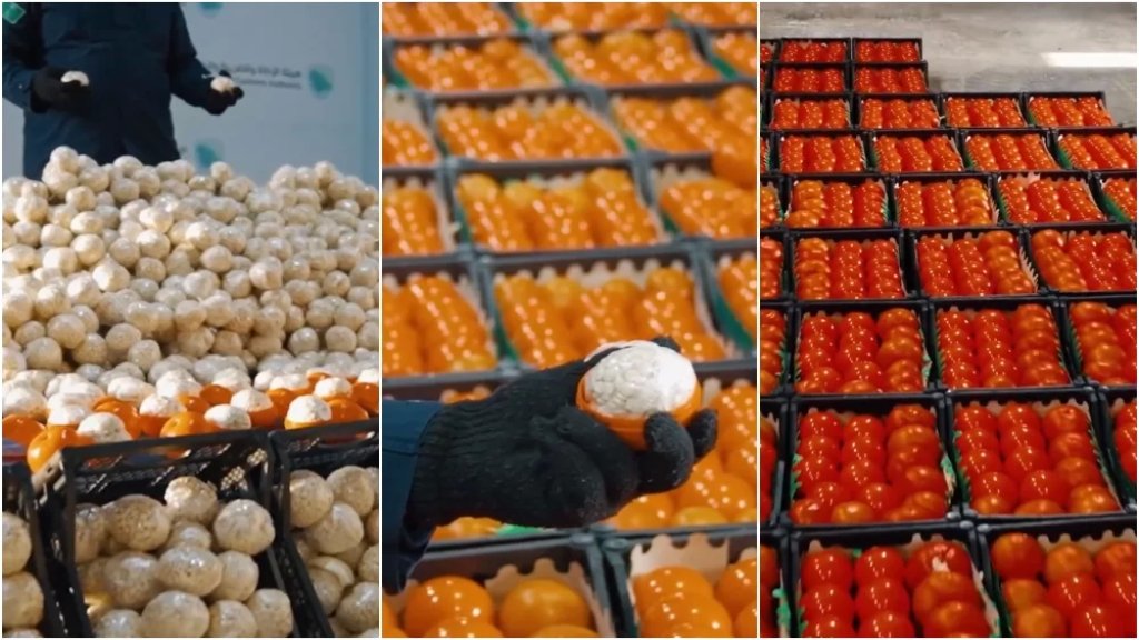 بالفيديو/ السعودية تضبط أكثر من مليوني حبة كبتاغون مُخبأة في إرسالية طماطم ورمّان!