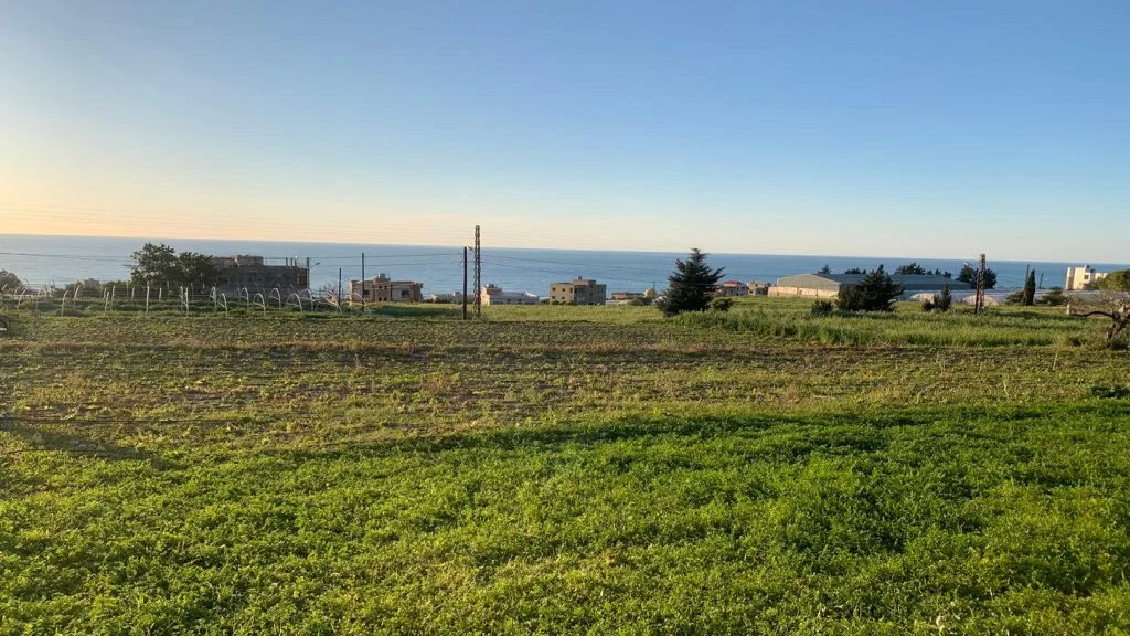 ضمن موقع لافت وإطلالة مميزة على البحر.. أرض معروضة للبيع في منطقة الزهراني- اللوبية