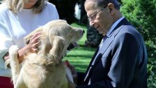 كلبا الرئيس عون مفقودان... وُجد أحدهما في باحة منزل نائب سابق (الجديد)