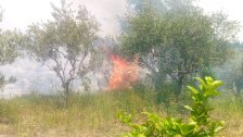 بالفيديو/ اندلاع حريق كبير في بلدة الخرايب منطقة الباهلية وامتد الى الأراضي الزراعية والبساتين المجاورة