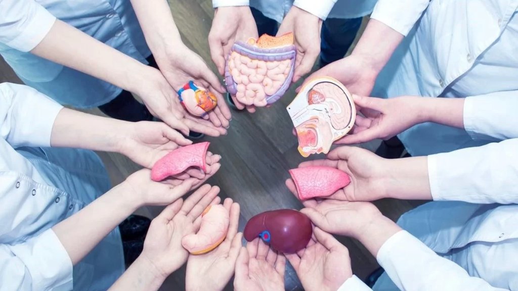 في بادرة إنسانية: سعودي توفي ابنه.. فوهب الحياة لـ 6 مرضى!