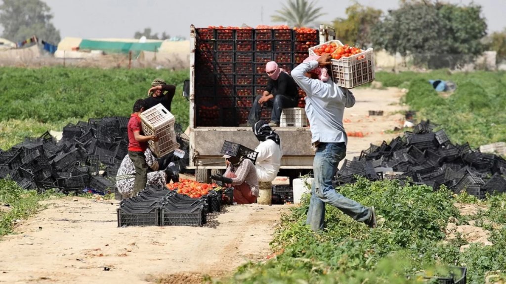 مطالب بتنظيم العمالة السورية لتنفيس الاحتقان مع اللبنانيين