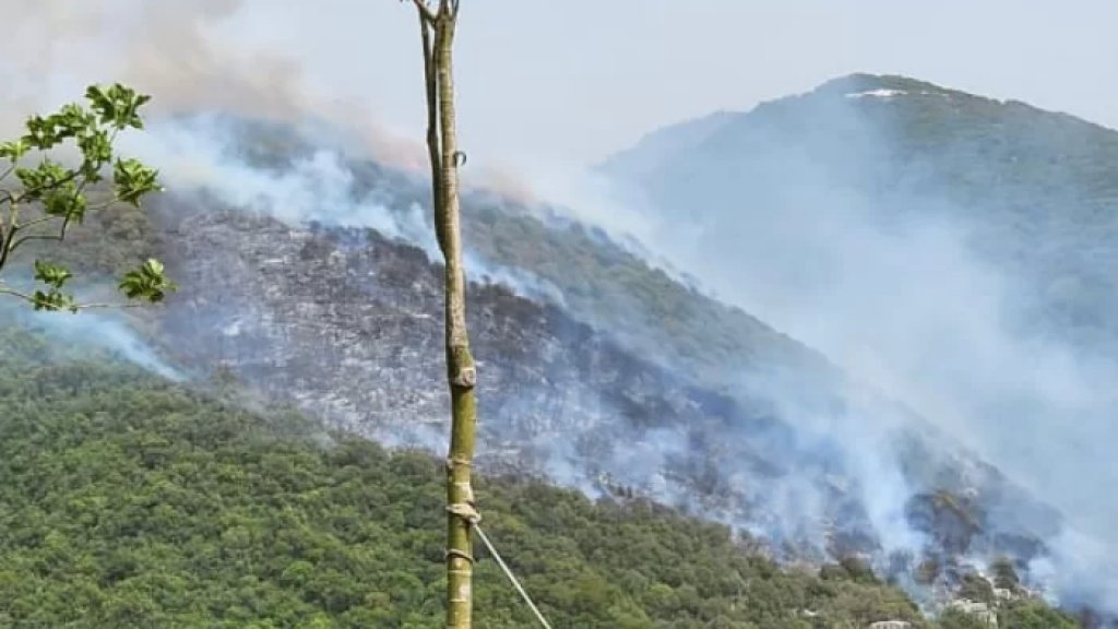 بالفيديو/ حريق كبير في احراج بلدة إده البترون.. الرياح تسببت بتوسع رقعة النيران وفرق الدفاع المدني تعمل على إخماده