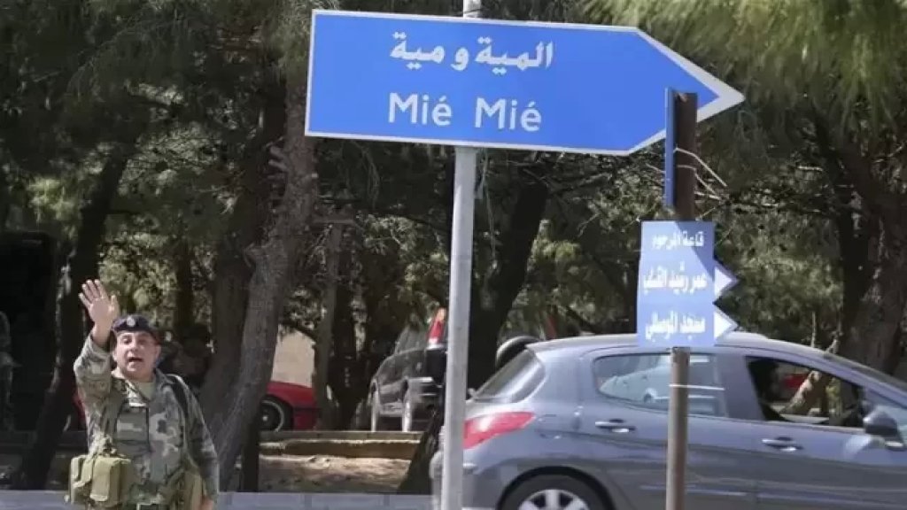 مقتل شاب فلسطيني بانفجار قنبلة عن طريق الخطأ في مخيم المية ومية