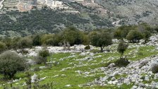 في منطقة هادئة في بلدة الطيري - جنوب لبنان، أرض معروضة للبيع (صور)