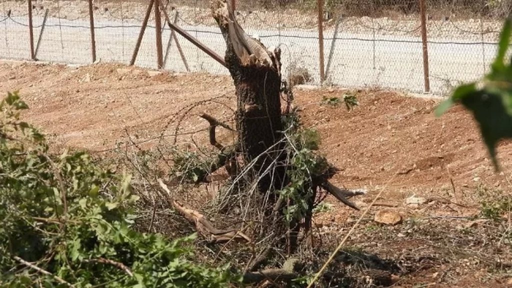 الحدود الجنوبية تشهد حالة من التوتر: قوة إسرائيلية خرقت الخط الازرق بين بلدة حولا ومستعمرة "المنارة" واقتلعت اشجارا خارج السياج التقني...وانتشار للجيش اللبناني بالمنطقة