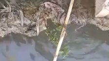 بالفيديو/ تحذير من مصلحة الليطاني لرواد النهر في طرفلسية بسبب تدفق مياه الصرف الصحي إلى مجرى النهر