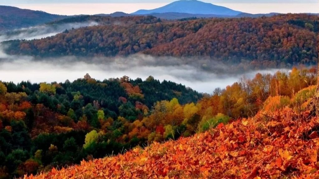 الراصد علي جمال جابر لموقع بنت جبيل: الخريف يبدأ باكراً.. لا موجات حر في الأفق!