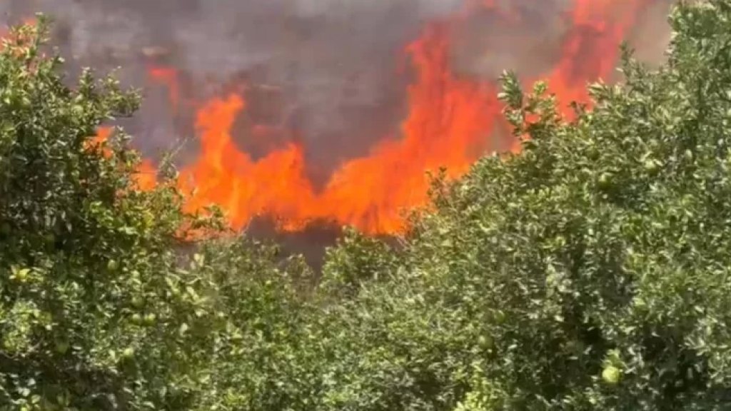 الدفاع المدني يواصل جهوده لإهماد حريق كبير في حرج العباسية