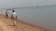 بالفيديو/ سمكة قرش تهاجم سيدة في منتجع بمدينة دهب المصرية!