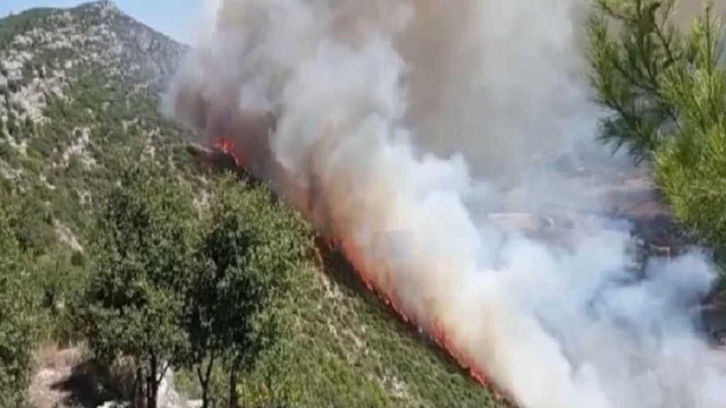 اندلاع حريق كبير في خراج أحراج منطقة بسري.. والرياح القوية تساهم في توسع رقعته!