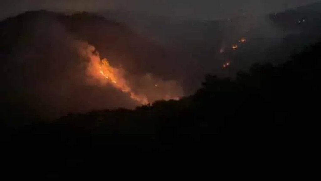 حريق هائل في حرج في الدبيّة منذ عصر اليوم.. ولا تزال محاولات إخماده مستمرة!