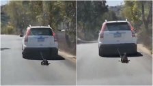 في مشهد قاس.. سيارة تجر كلبا مربوطا بحبل من رقبته على طريق عام حداثا الطيري باتجاه بنت جبيل! (النهار)