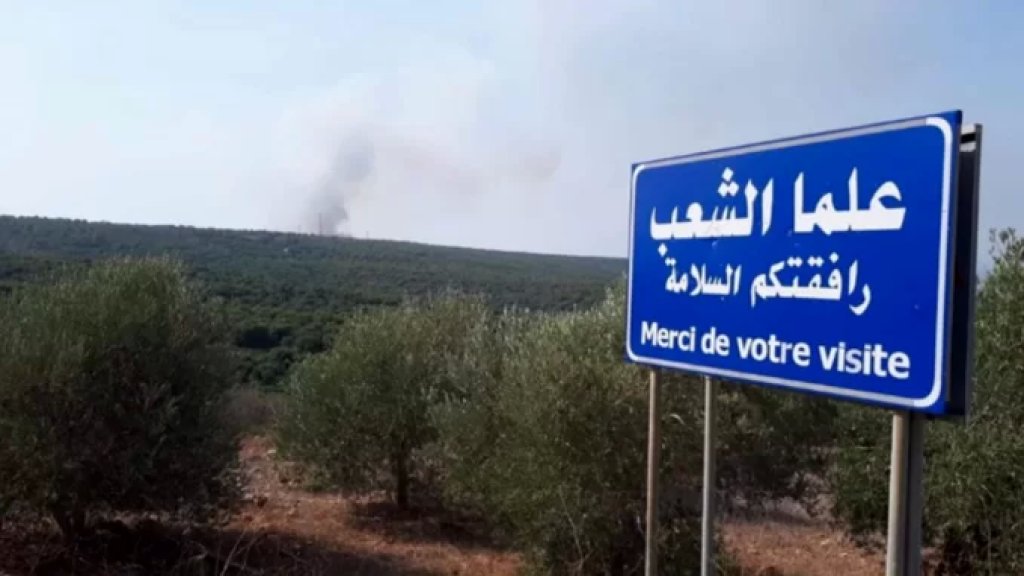 اهالي علما الشعب يناشدون وزير الطاقة: لاعادة التيار الكهربائي للبلدة بعد انقطاعه منذ 21 يوماً 