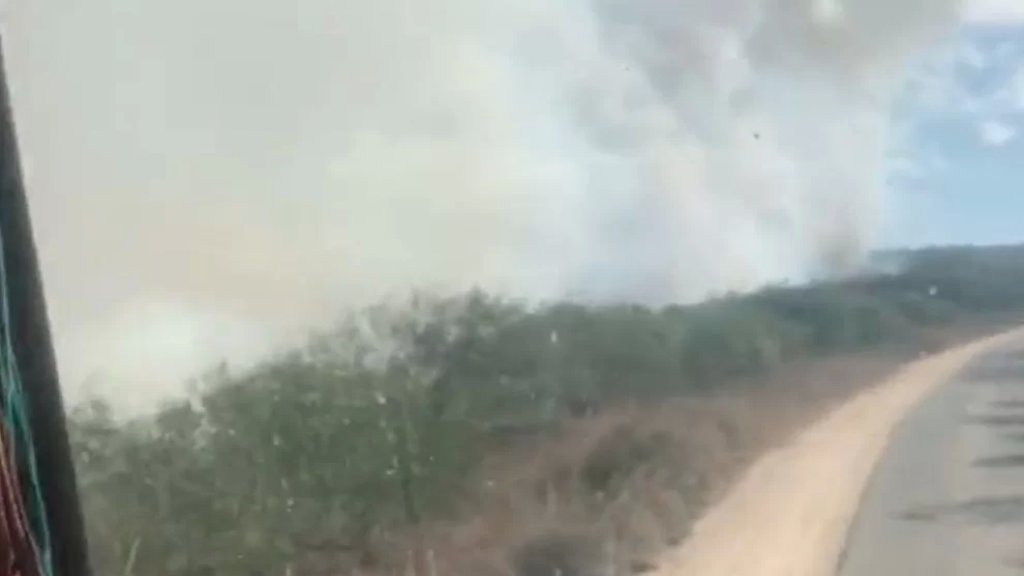 بالفيديو/ الدفاع المدني: استمرار عمليات الإطفاء في الأحراج الممتدة من رأس الناقورة الى اللبونة /علما الشعب