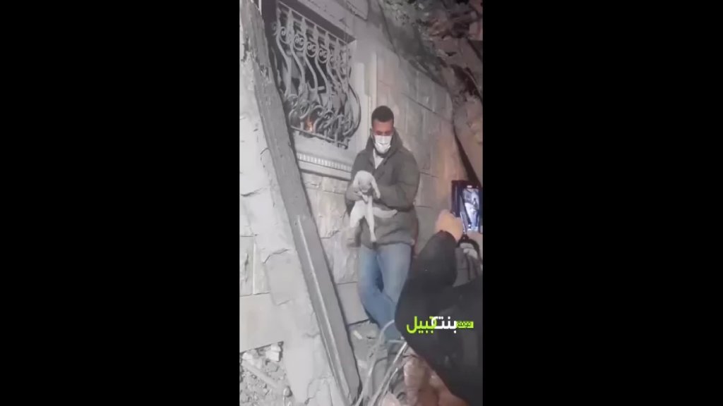 بالفيديو/ في حولا جنوب لبنان.. إنقاذ قطة بعدما كانت عالقة جراء الإستهداف الإسرائيلي لأحد المنازل