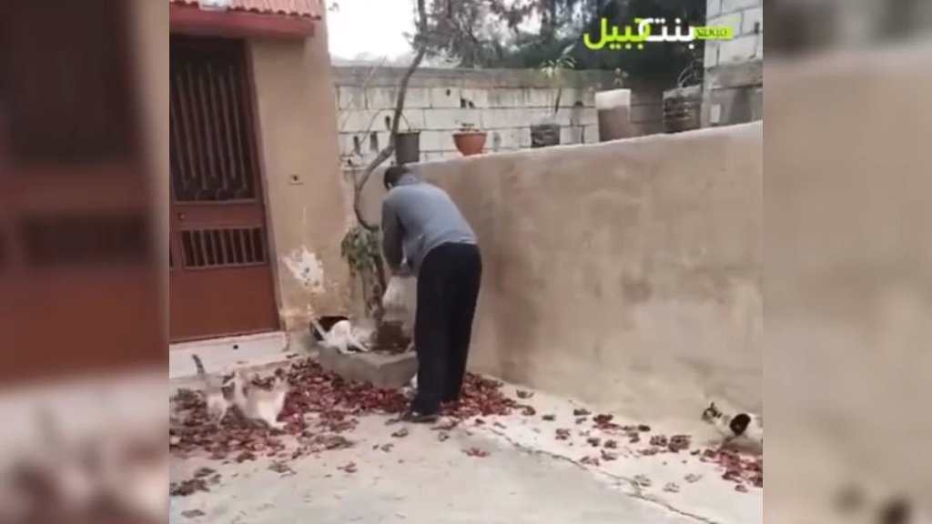 بالفيديو/  عن الشاب ابراهيم دباجة الذي اعتاد المخاطرة والتوجه إلى بنت جبيل لإطعام قطط الحي!