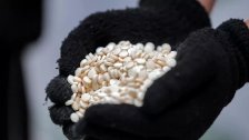 3 أشخاص من التابعية السورية كانوا يخبئونها على شكل معلبات مواد غذائية.. أمن المطار يحبط محاولة تهريب كمية من الكبتاغون الى القاهرة!
