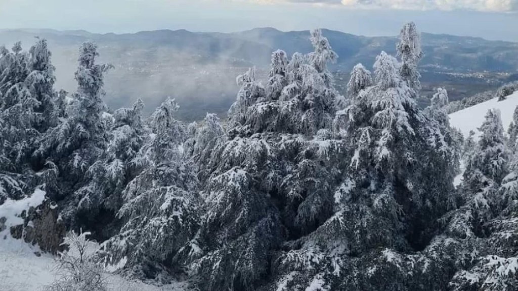 الثلج عطّل مدارس ومؤسسات وقطع المياه عن قرى في الشوف الاعلى