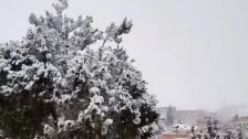الثلوج غطت بعلبك والحرارة تدنت إلى ما دون الصفر ليلًا