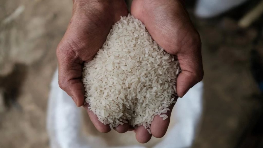 24 طناً من الأرزّ &laquo;المسرطن&raquo; بيعت في الأسواق (الأخبار)