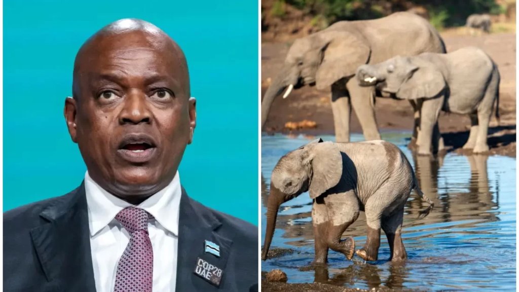 رئيس بوتسوانا يُهدد بإرسال 20 ألف فيل إلى ألمانيا !