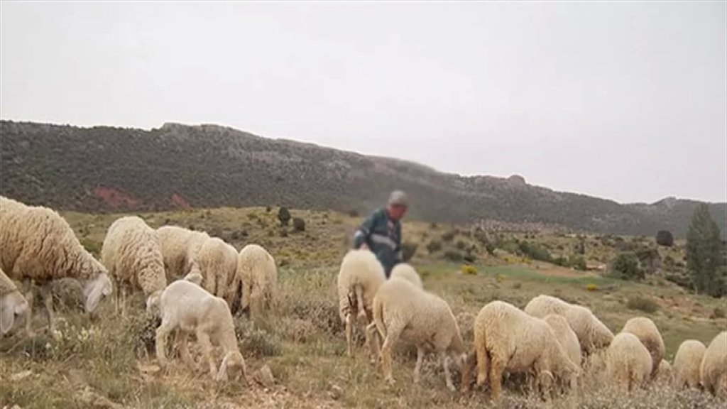حالته حرجة.. انفجار قنبلة عنقودية من مخلفات الحرب براعٍ في منطقة جزين!