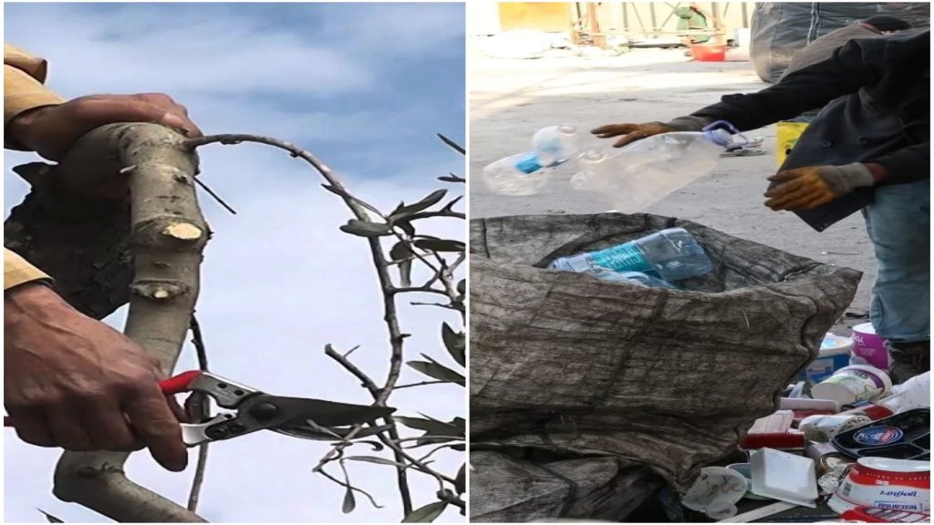  موجة استياء كبيرة بسبب الإعلانات المتعلقة بجمع النفايات وتشذيب الأشجار الصادرة عن بلديات والموجهة للنازحين من بلداتهم 