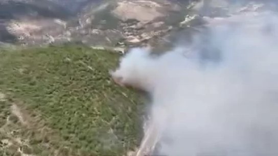 بالفيديو/ حريق بزال - عكار يمتد: النيران حاصرت بعض المنازل في قبعيت وتم إخلاء سكانها!