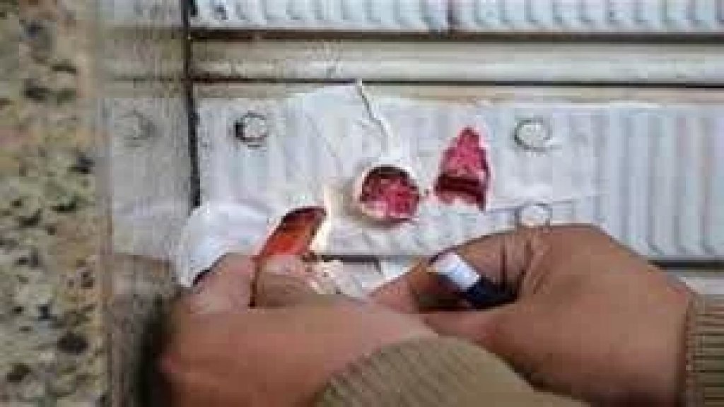 لبيعه مواد منتهية الصّلاحيّة&hellip; أمن الدولة تختم بالشمع الاحمر سوبرماركت في محلّة أبي سمرا! 