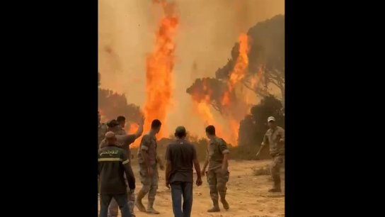 بالفيديو/ النيران تتمدد... مناشدات في قضاء جزين للمساعدة في إطفاء الحرائق المشتعلة