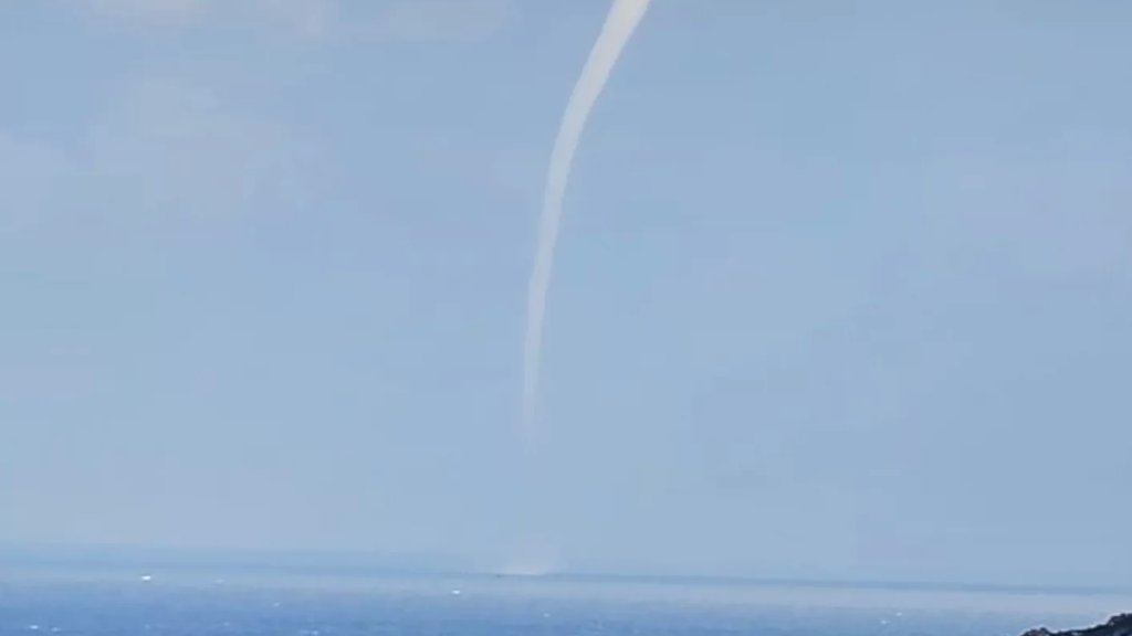  ظهور "تنين البحر" على شاطئ كبا وسلعاتا -البترون