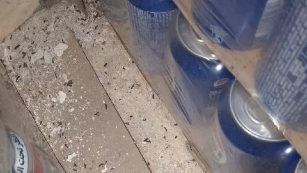 العثور على "بعر" فئران داخل أحد المستودعات.. مراقبو مصلحة الاقتصاد يجولون على المطاعم الكبيرة في صيدا وصور التي تحضر الإفطارات في شهر رمضان!