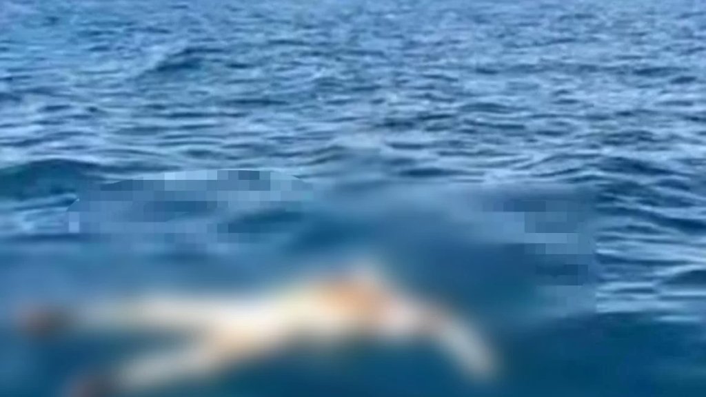 جثة مقطوعة الرأس في ميناء طرابلس