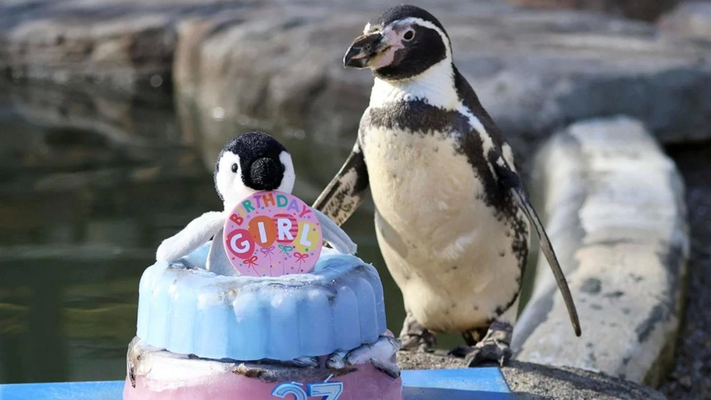 نجت من مرض فطري خطير.. أكبر "بطريقة" في العالم تحتفل بعيد ميلادها الـ37!