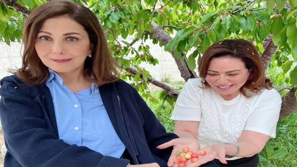 بالفيديو/ كرزات ليست كالكرزات.. سطوة على شجرة كرز تجمع ماجدة الرومي وإلهام شاهين في لبنان:  نرجو من صاحب الشجرة أن يسامحنا