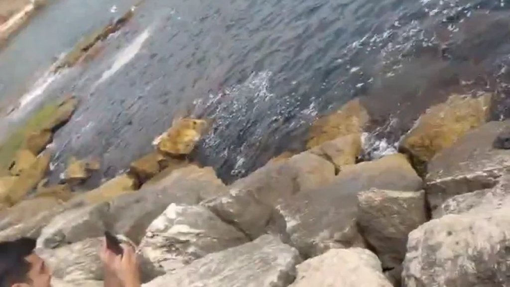 بالفيديو/ في مشهد صادم.. العثور على هيكل عظمي في بحر جبيل!