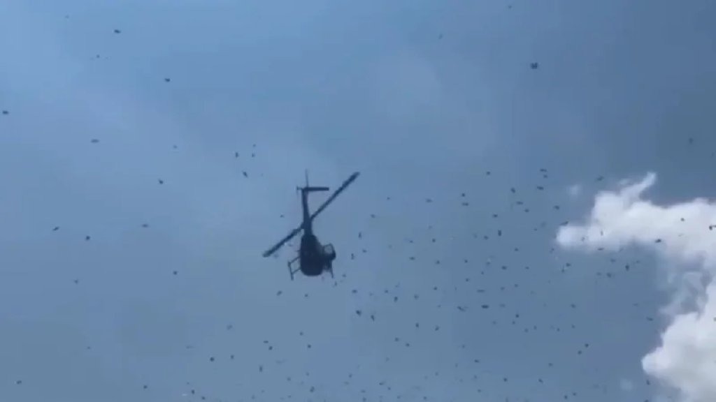 في مشهد غير مألوف&hellip; طائرة تنثر الدولارات في ديترويت الأمريكية تنفيذاً لوصية رجل طلب فيها إسعاد الناس بطريقة غير تقليدية!