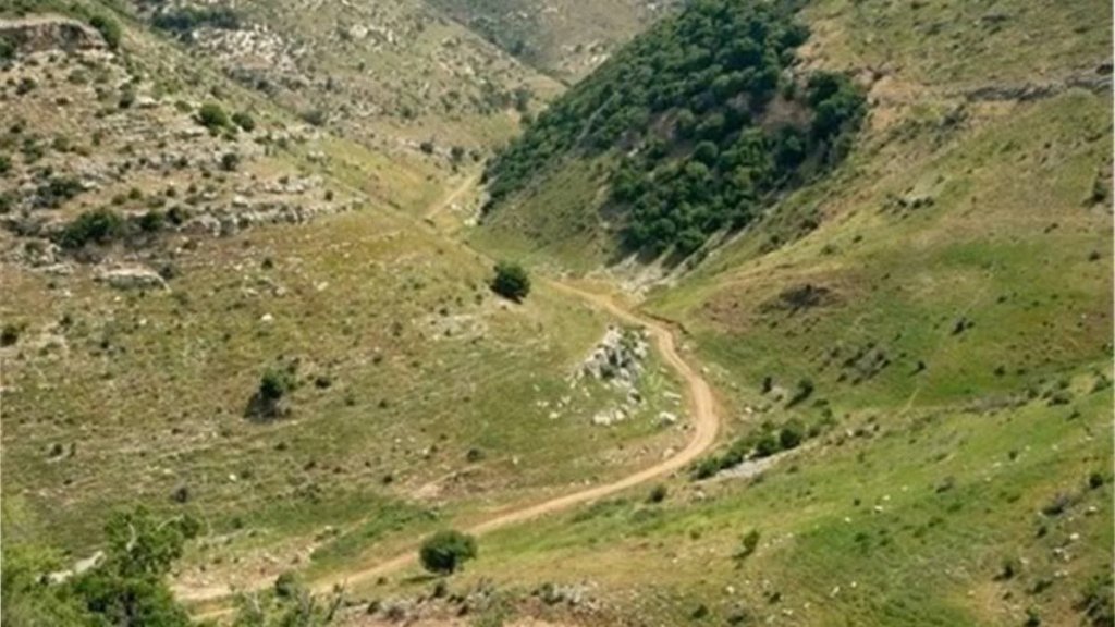 غارة من مسيرة استهدفت أطراف قبريخا لجهة وادي السلوقي