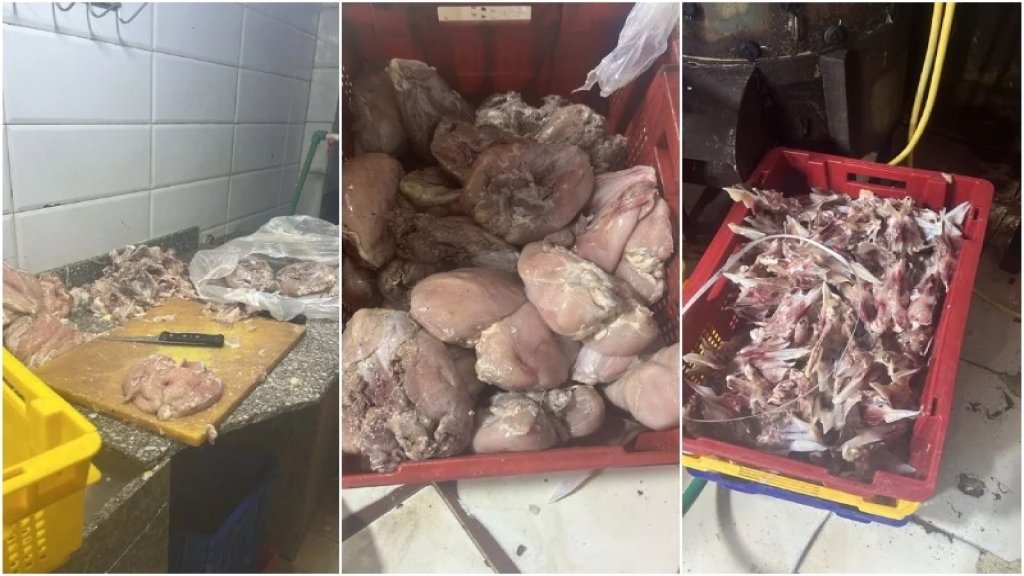 إليكم تفاصيل ضبط 10 أطنان من لحوم الدّجاج الفاسدة: يستخدم اللّحوم السّليمة نهارًا ويوزع الفاسدة ليلًا.. وتوقيف 8 أشخاص لبنانيين وسوريين!
