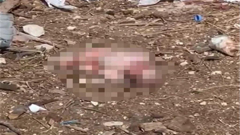 في رعشين: جثة رضيع حديث الولادة مرمية على جانب الطريق!