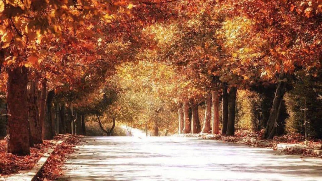 خبر سار لمحبي الشتاء: منخفض جوي سريع ومتوسط الفعالية يقترب: أمطار متفرقة مع برق ورعد