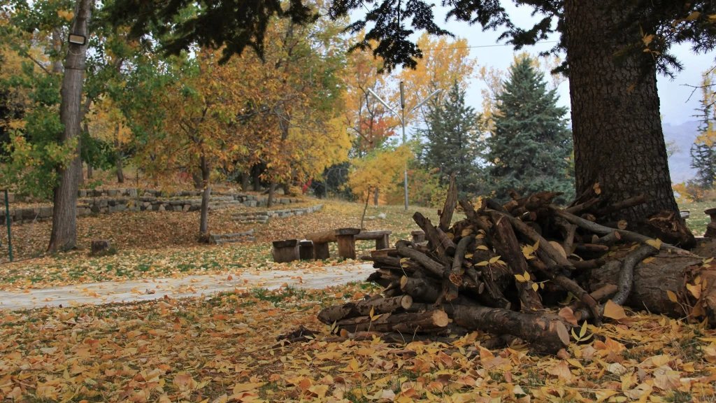 غيمة "شتا" عابرة.. الحرارة سترتفع اعتباراً من يوم غد الجمعة وتتخطى معدلاتها يوم السبت في المناطق الجبلية والداخلية!