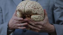 دراسة جديدة: أدمغة الرجال تتقلص أسرع من النساء